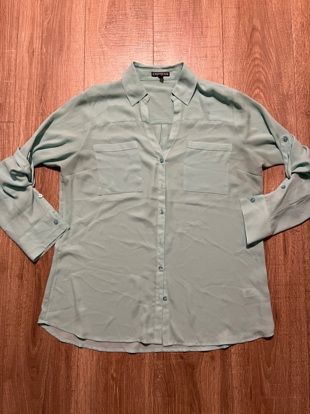Express Women’s Mint Green Sheer Button-Up Shirt L